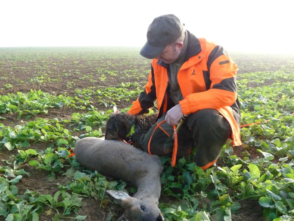 Léo De La Fosse Aux Cerfs